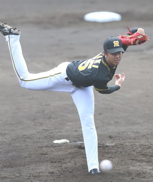ヤクルト対阪神 阪神先発の才木浩人(撮影・上山淳一)