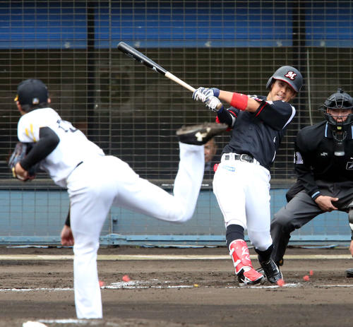 ソフトバンク対ロッテ 8回表ロッテ2死、鈴木は右越えにソロ本塁打を放つ。投手高橋(撮影・栗木一考)