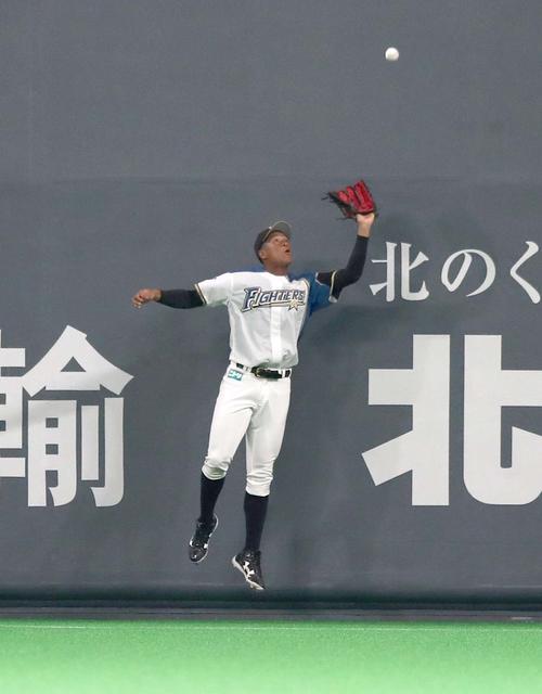 日本ハム対DeNA　2回表DeNA1死、宮崎の打球を好捕する万波（撮影・黒川智章）