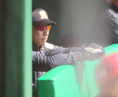 オープン戦 楽天対阪神 1回裏、ベンチで厳しい表情の矢野燿大監督(撮影・上山淳一)