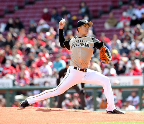日本ハム先発の上沢（撮影・佐藤翔太）
