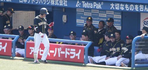 ヤクルト対阪神 1回表阪神2死、本塁打を放った糸原に対してベンチはサイレント・トリートメント(撮影・中島郁夫)