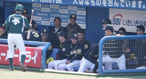 ヤクルト対阪神 1回表阪神2死、本塁打を放った糸原に対してベンチはサイレント・トリートメント。そしてサイレントのまま?(撮影・中島郁夫)
