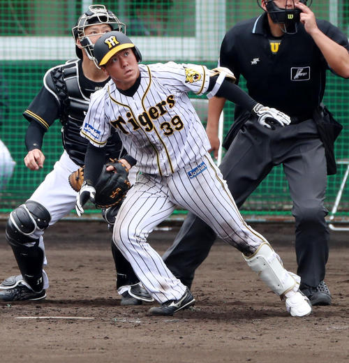 阪神長坂拳弥
