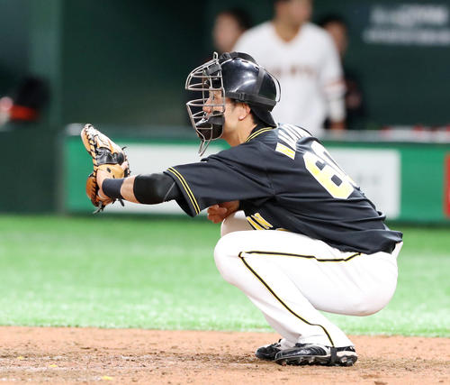 巨人対阪神　5回裏を前に坂本が準備している間、中谷が防具を着けてマスクを被りボールを受けた（撮影・加藤哉）