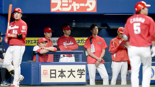 中日対広島3回戦　7回表広島1死、ベンチで戦況を見つめる緒方孝市監督（撮影・森本幸一）