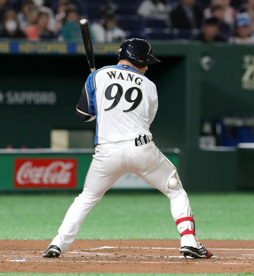 日本ハム対西武　1回裏日本ハム2死二塁、死球を受ける王柏融（撮影・佐藤翔太）　　