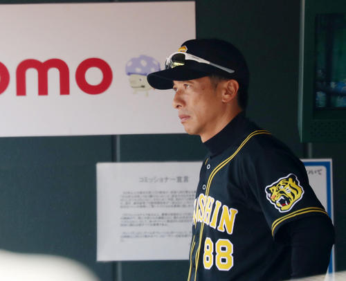 広島対阪神　ベンチの奥から厳しい表情でグラウンドを見つめる矢野監督（撮影・加藤哉）