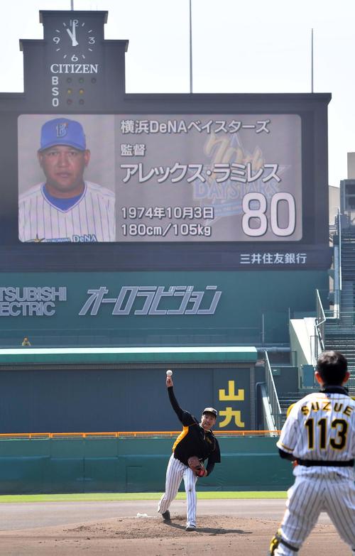 マウンドの感触を確かめながら投球練習をする秋山拓巳（撮影・上田博志）