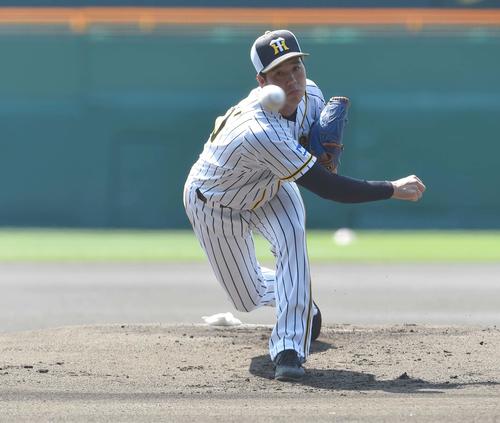 マウンドの感触を確かめながら投球練習をする青柳晃洋（撮影・上田博志）