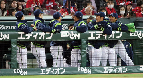 広島対ヤクルト　3回表ヤクルト1死、村上は右越えにソロ本塁打を放つもベンチ前のナインは無反応からの遅れて祝福する（撮影・栗木一考）