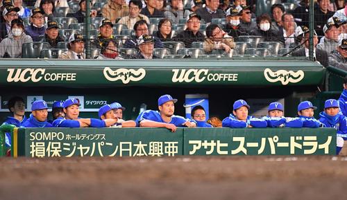 阪神対DeNA　8回、勝利投手の権利が消滅しベンチで沈黙する上茶谷大河（右から5人目）