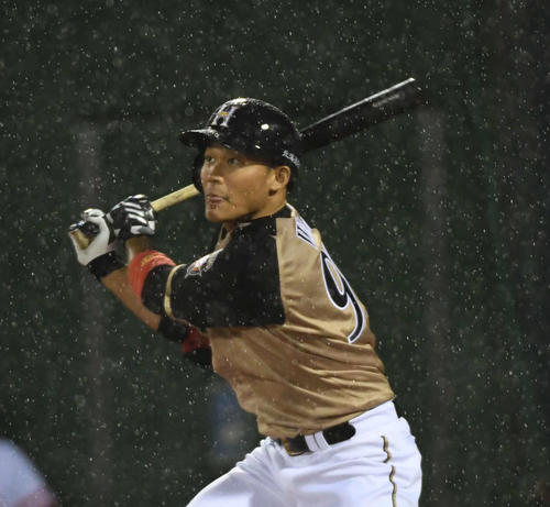 日本ハム王柏融