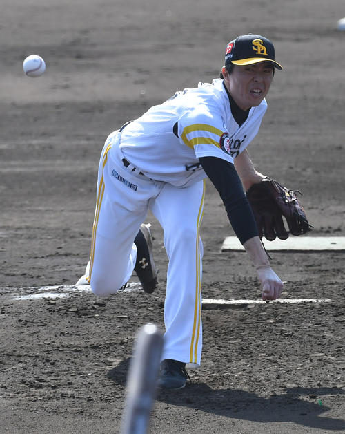 ソフトバンク田中正義（19年2月16日撮影）