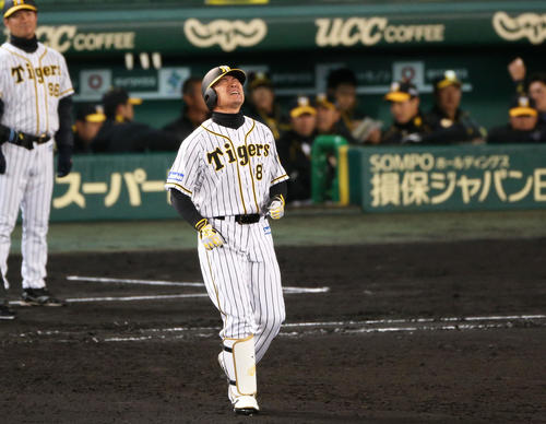 阪神対DeNA　7回裏阪神2死、福留は中飛に倒れガックリする（撮影・上山淳一）