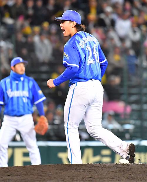 阪神対DeNA　6回裏阪神1死一塁、糸原を二塁併殺打に打ちとりガッツポーズをして雄たけびをあげる浜口（撮影・上田博志）
