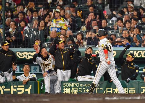 阪神対DeNA　3回裏阪神2死、左中間へソロ本塁打を放った大山をハイタッチで出迎えるナイン（撮影・上田博志）