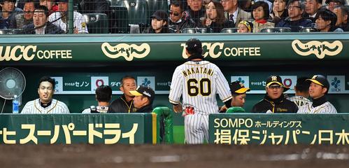 6回5失点で降板しベンチで悔しそうな表情を見せる秋山拓巳（左）（撮影・上田博志）