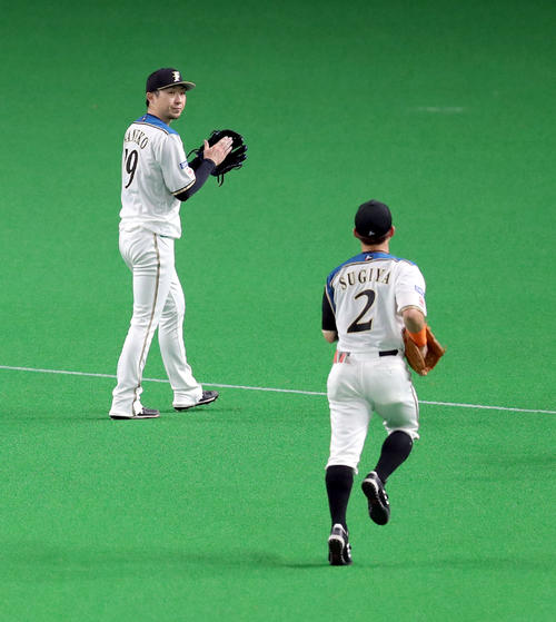 日本ハム対ロッテ　6回表を無失点に抑えナインを出迎えながらベンチに戻る日本ハム金子（右奥）（撮影・佐藤翔太）　　