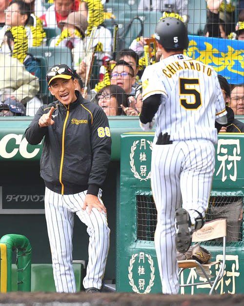 阪神対中日　6回裏阪神無死、右越えにソロ本塁打を放った近本を笑顔で出迎える矢野監督（撮影・上田博志）