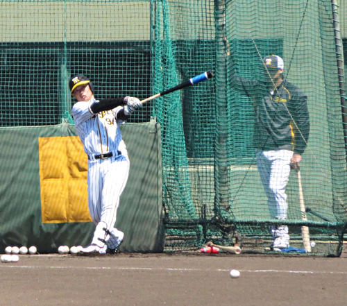 大腸がんの手術後、初めて屋外でフリー打撃を行った阪神原口（撮影・磯綾乃）