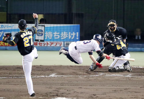 ヤクルト対阪神　7回裏ヤクルト2死満塁、青木は死球を受け押し出しとなる（撮影・加藤哉）