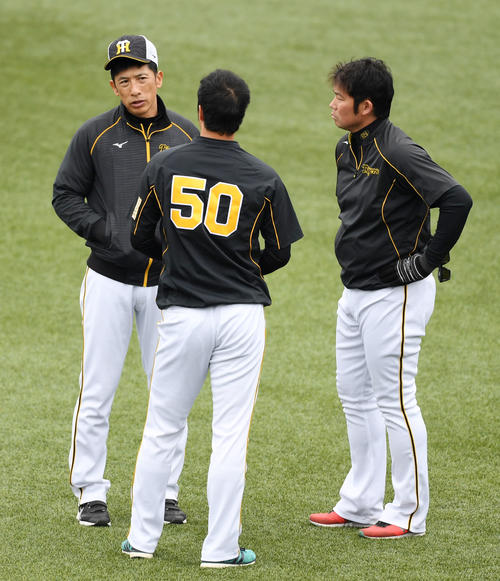 ヤクルト対阪神　試合前、阪神青柳（中央）と岩田（右）に声をかける矢野監督（撮影・横山健太）