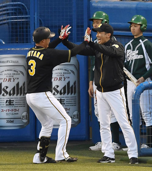 ヤクルト対阪神　1回表阪神1死一、二塁、左越え3点本塁打を放った大山（左）と笑顔でタッチをかわす矢野監督（撮影・横山健太）
