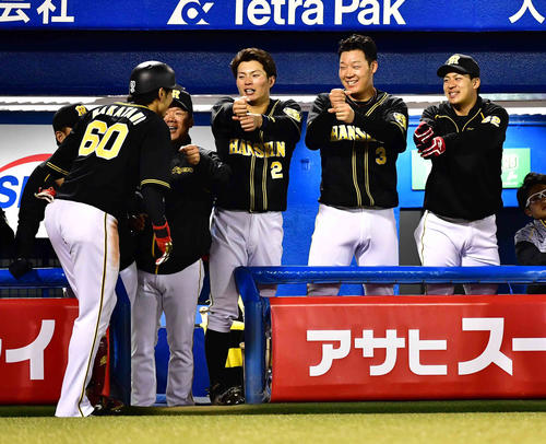 ヤクルト対阪神　4回表阪神2死二塁、中谷（左）は左越えに2点本塁打を放ちベンチのナインの祝福を受ける（撮影・小沢裕）