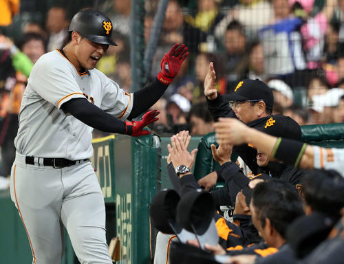 阪神対巨人　5回表巨人無死、左越えソロ本塁打の岡本はベンチ前でナインとハイタッチ（撮影・松本俊）