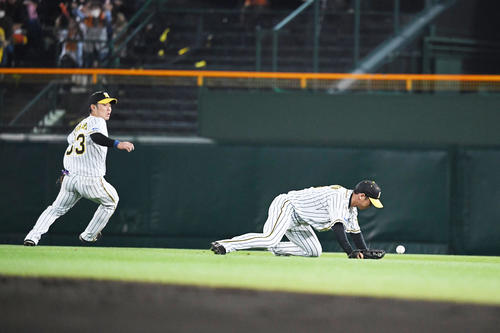 8回表巨人2死三塁、小林誠司の飛球をエラーする近本（右）、左は糸原（撮影・奥田泰也）