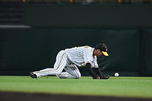 阪神対巨人　8回表巨人2死三塁、小林の飛球を失策する中堅手近本（撮影・奥田泰也）