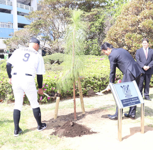 2000安打達成を記念し植樹されたダイオウショウに土をかけるロッテ福浦（左）と山室球団社長（撮影・久永壮真）