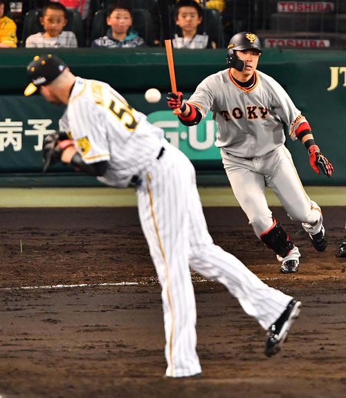 阪神対巨人　5回表巨人無死、亀井善行の打球を体に当てるランディー・メッセンジャー（2019年4月19日撮影）