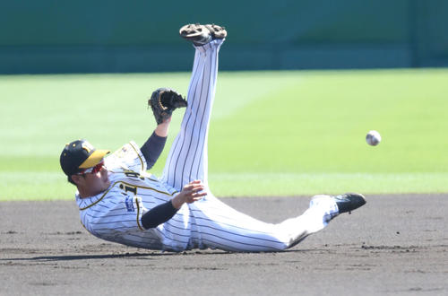 阪神対巨人　1回表巨人無死一塁、木浪は、丸の遊ゴロを倒れ込みながら二塁へ送球し封殺する（撮影・上山淳一）