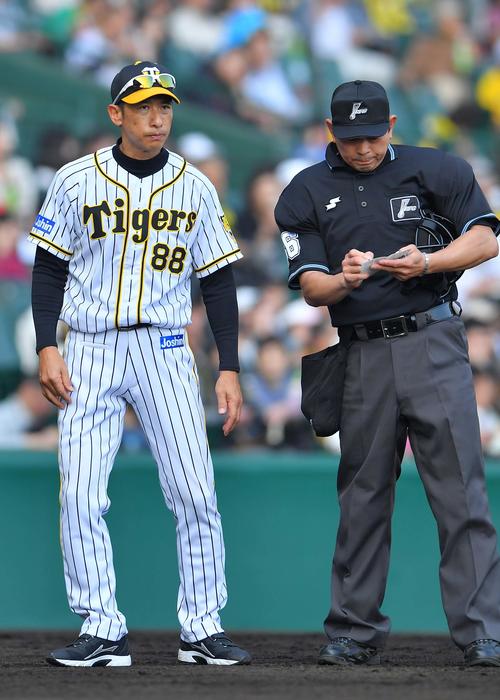 阪神対巨人　投手交代を告げる矢野監督（撮影・上田博志）