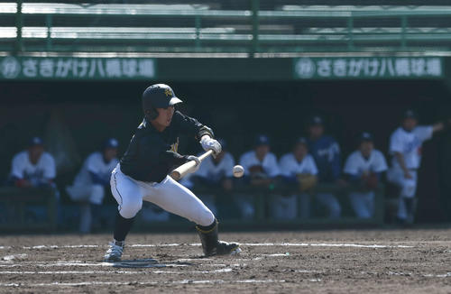 岩手大対八戸学院大　6回裏八戸学院大無死一、二塁で犠打を決める八戸学院大・菊池