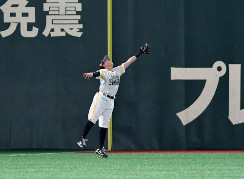 ソフトバンク対オリックス 2回表オリックス1死、西野の打球を好捕するソフトバンク川島(撮影・滝沢徹郎)
