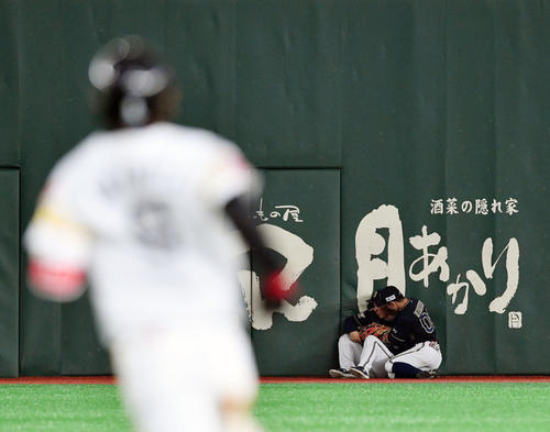 ソフトバンク対オリックス 4回裏ソフトバンク1死、今宮(手前)の打球を追いぶつかったオリックス吉田正(奥左)と西野(撮影・滝沢徹郎)