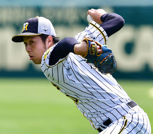 甲子園での練習でキャッチボールを行う青柳（撮影・清水貴仁）