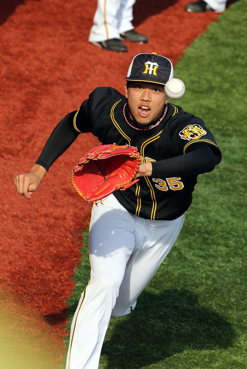 DeNA対阪神　試合前練習でノックを受ける阪神才木（撮影・河野匠）