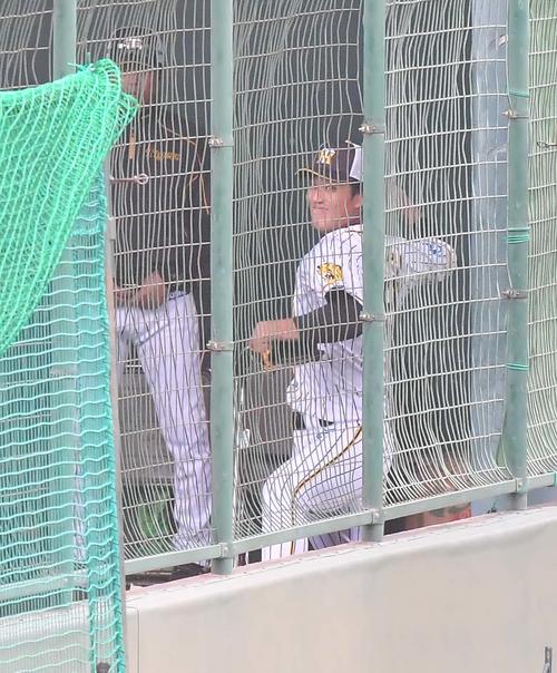 ブルペンで投球練習をする藤浪晋太郎（撮影・上田博志）