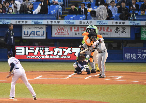 ヤクルト対巨人　始球式で内藤氏の投球を豪快に打つ坂本勇（撮影・山崎安昭）