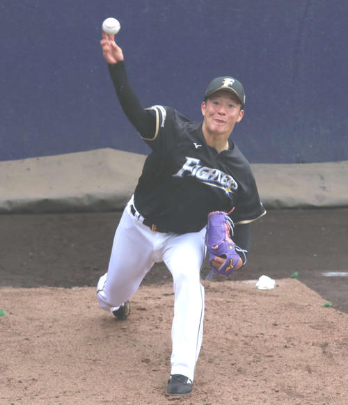 ブルペンで投球練習する日本ハム吉田輝星（撮影・山崎純一）