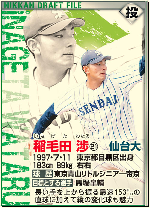 ドラフトファイル：稲毛田渉