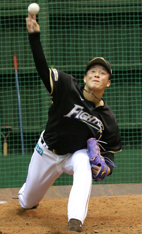 室内練習場のブルペンで投球練習する日本ハム吉田輝（撮影・山崎純一）