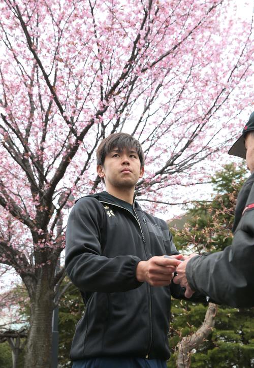 桜の木の下でファンにサインする日本ハム清水（撮影・黒川智章）