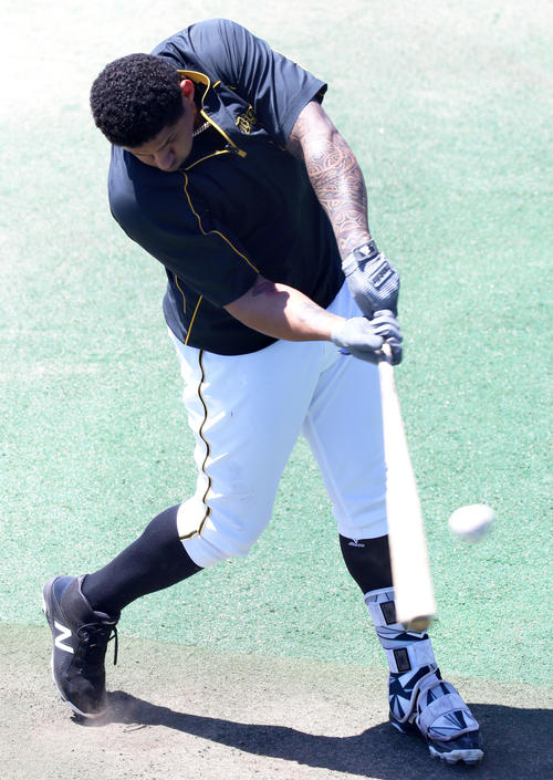 中日対阪神　試合前、ティー打撃をするジェフリー・マルテ（撮影・上山淳一）