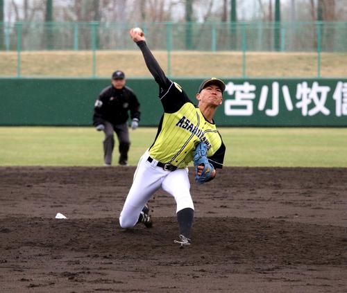 旭川大対東農大　リーグ戦初完封で勝利に貢献した旭川大の野原投手（撮影・永野高輔）