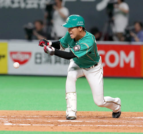 日本ハム対ソフトバンク　4回裏日本ハム無死一塁、犠打を決める平沼（撮影・佐藤翔太）